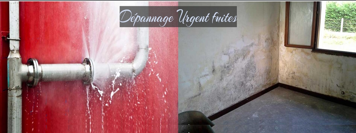 Dépannage urgent, Fuites Revêtement Sol et Murs Plâtre et Peinture par Renov'Plus 73
